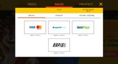 Metody transakcji w Loki Casino