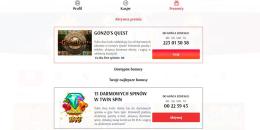 Wybór bonusów i ofert promocyjnych